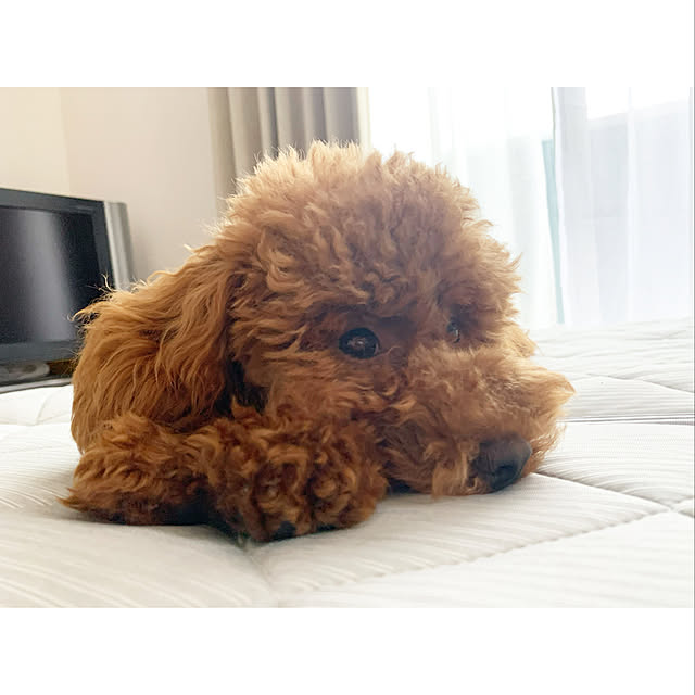 MKさんの実例写真