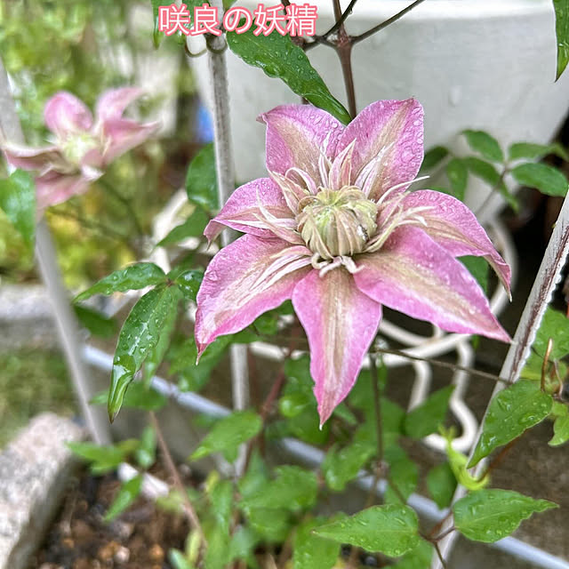 sunabaさんの実例写真