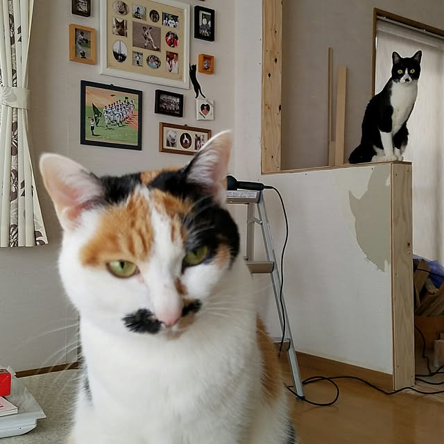 Kinanさんの実例写真