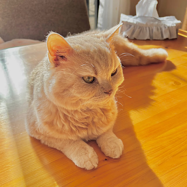 naokoさんの部屋