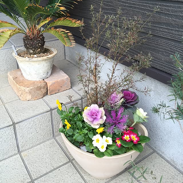 tsuyopipさんの実例写真