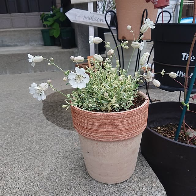 tikuwaさんの部屋