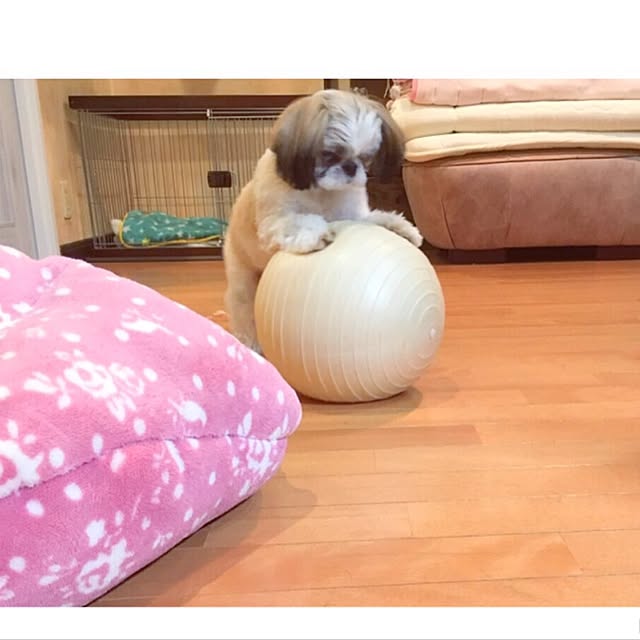 happychocoさんの実例写真