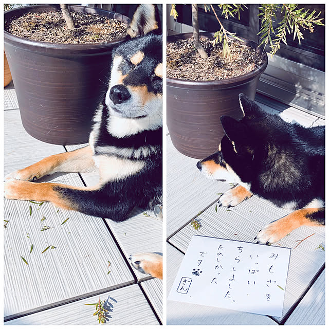 nuruiさんの実例写真