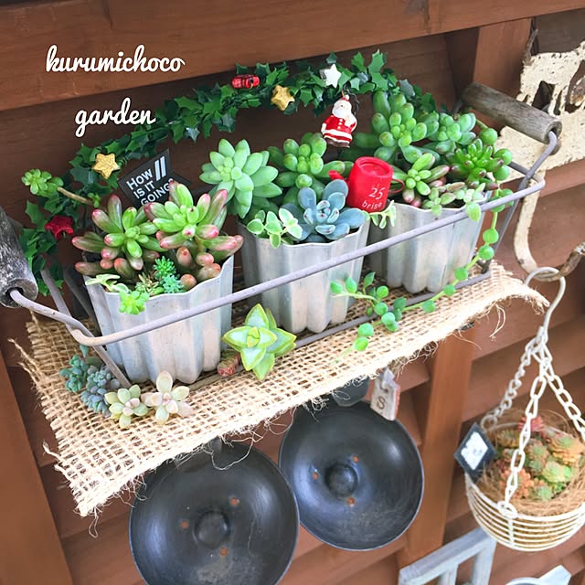 kurumichocoさんの実例写真
