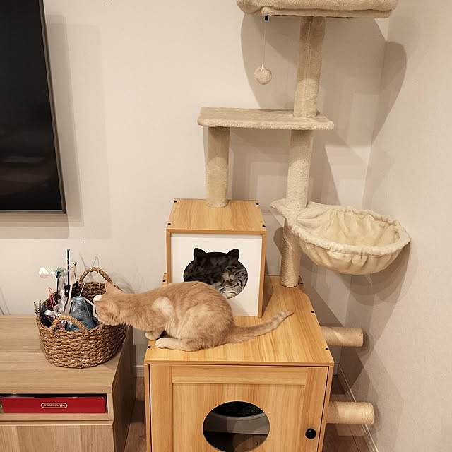 ayumiさんの部屋