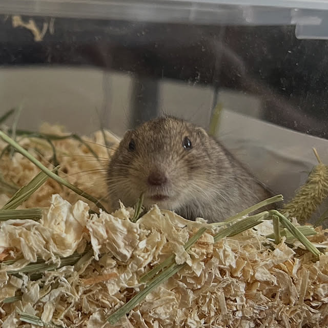 khaiさんの部屋