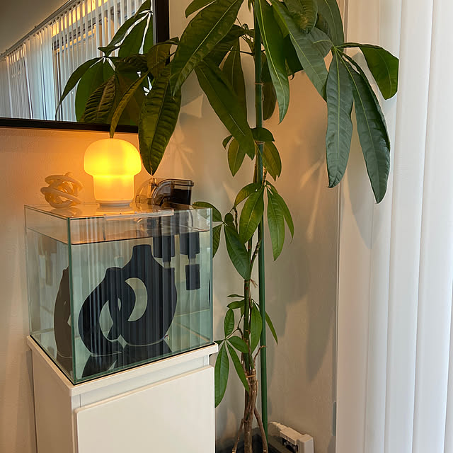 chiakiさんの部屋