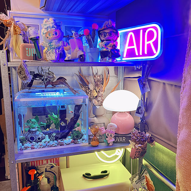 mit_iさんの実例写真