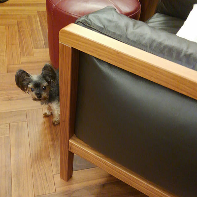 minnieさんの実例写真