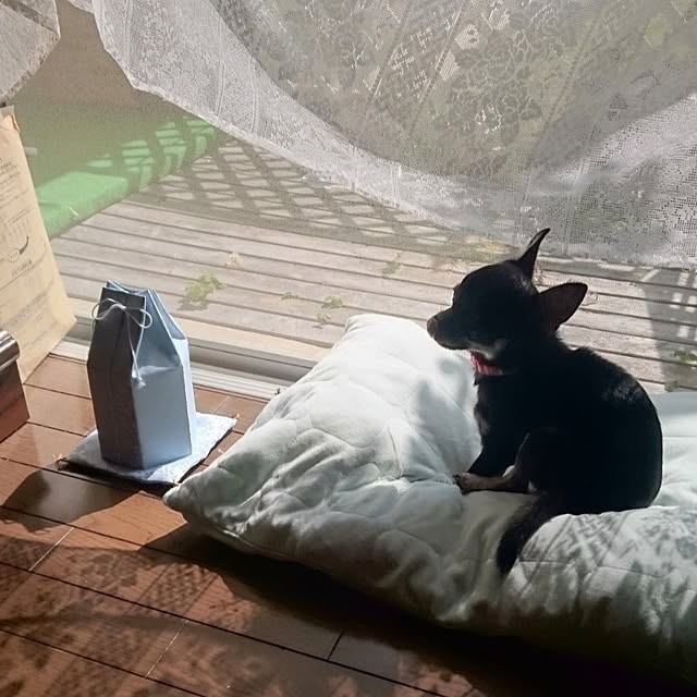 Bienvenueさんの部屋