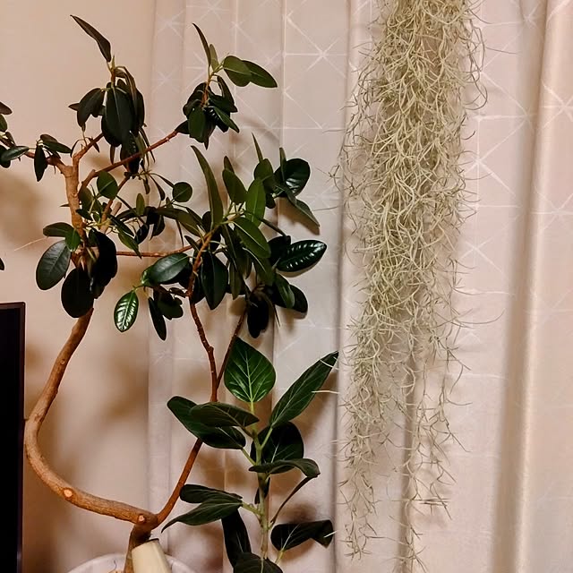 kerochanさんの部屋