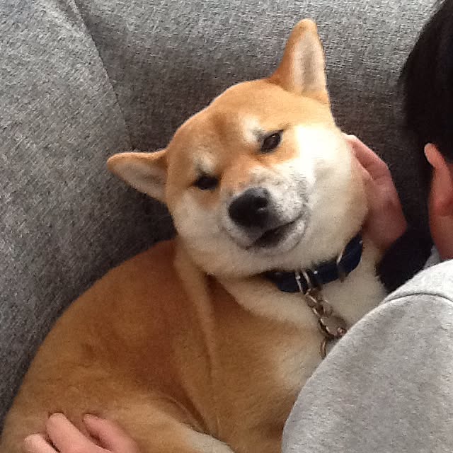 kotaさんの実例写真