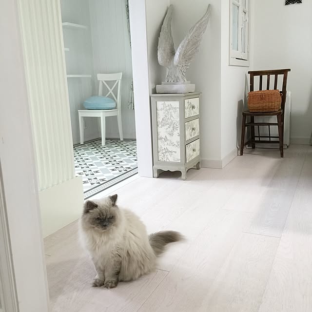 yuchiさんの実例写真