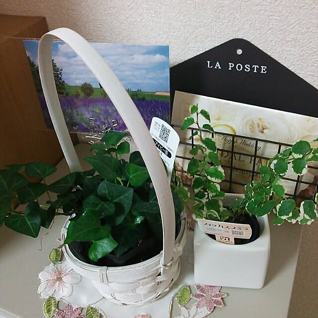 springさんの実例写真