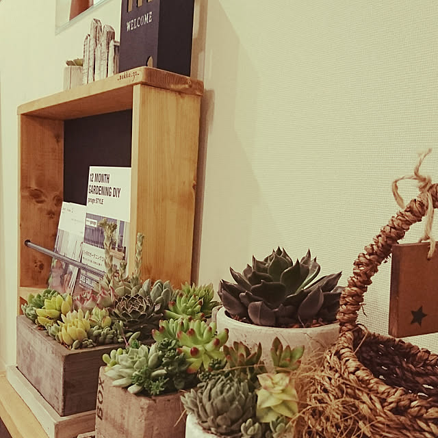 棚/観葉植物のインテリア実例 - 2018-03-29 21:29:19