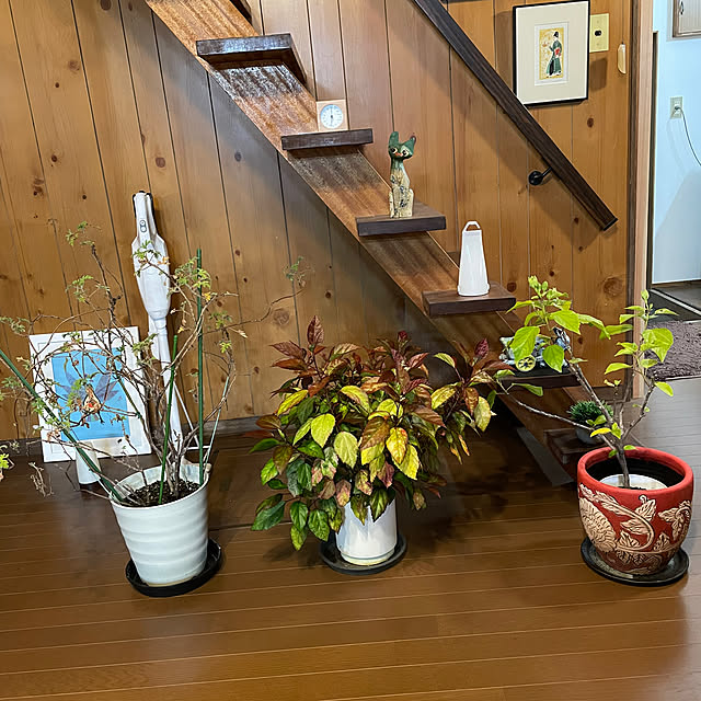 shin0719さんの部屋