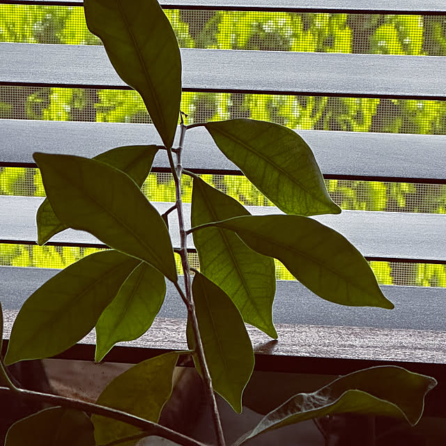 chacoさんの部屋