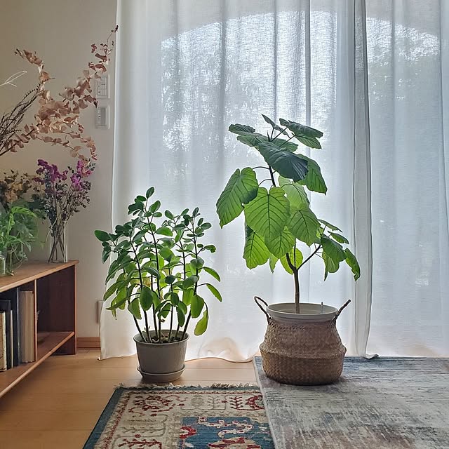 MARIE.color.interiorさんの実例写真