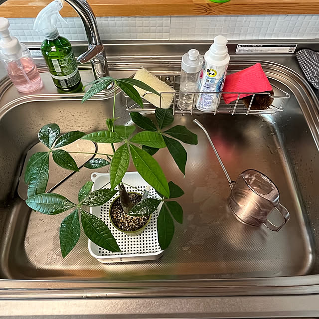 mogumoguさんの実例写真