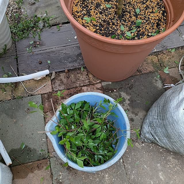 Bienvenueさんの部屋