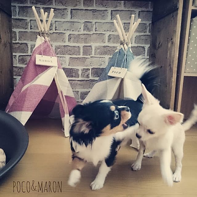 Mokaさんの実例写真