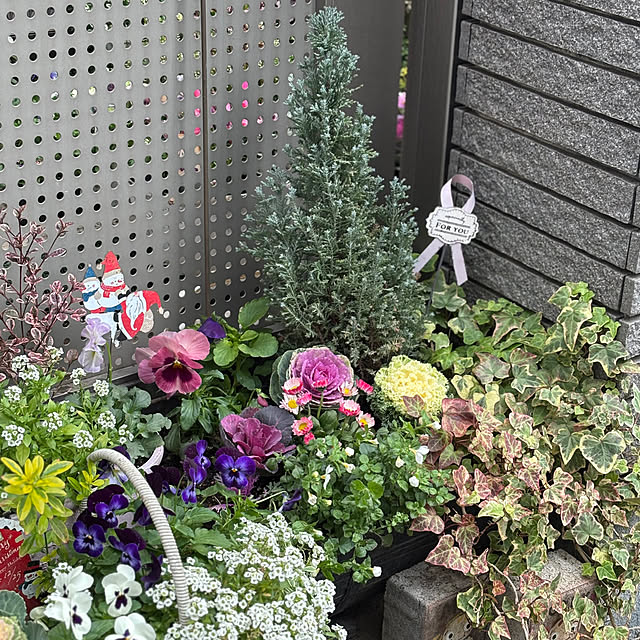 maayaさんの部屋