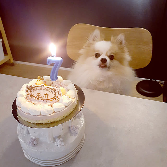 noahさんの実例写真
