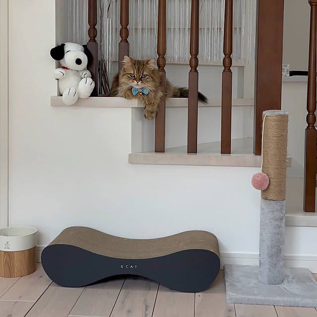 miyu39さんの部屋