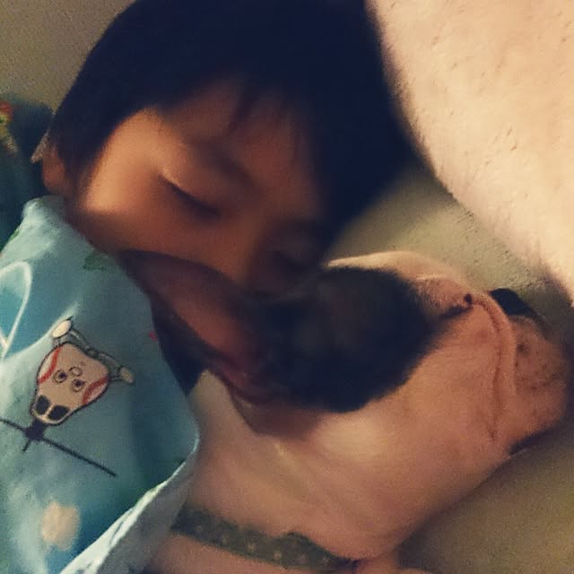 maiさんの実例写真