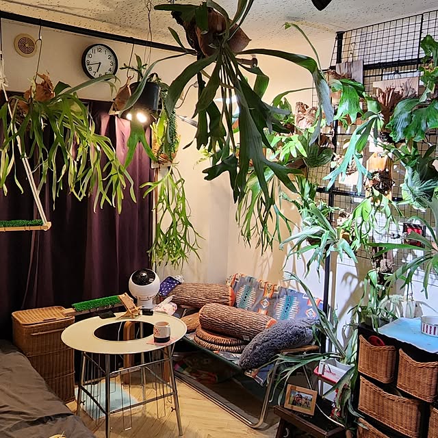 mikiさんの実例写真