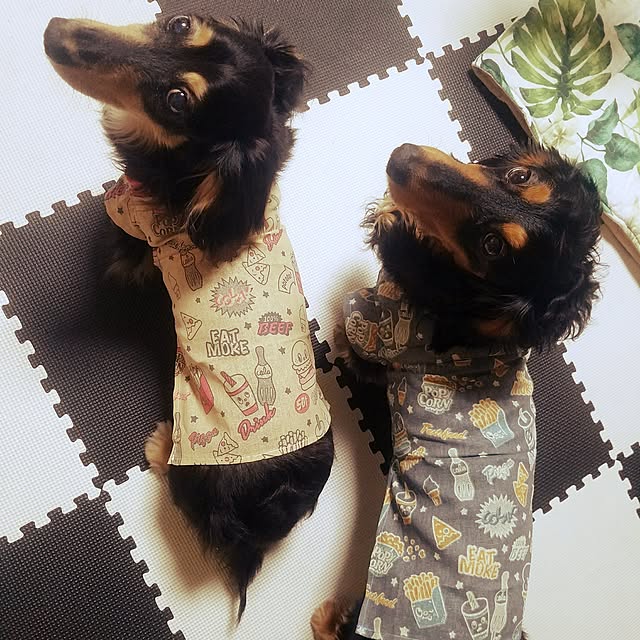 reotanさんの実例写真