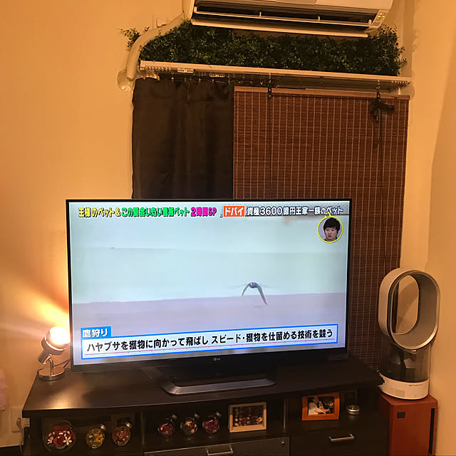 tomiさんの実例写真