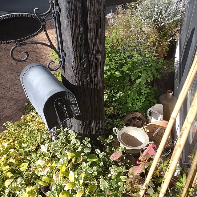 Hujikoさんの実例写真