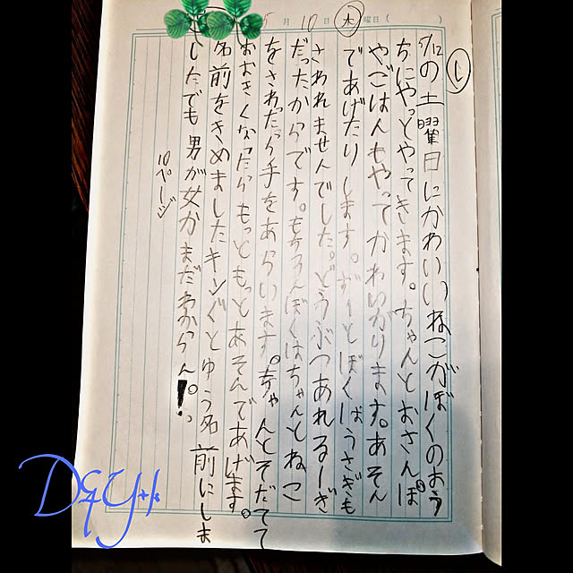 DandYkさんの実例写真