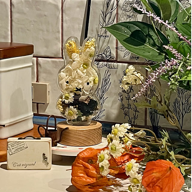 cotaさんの部屋