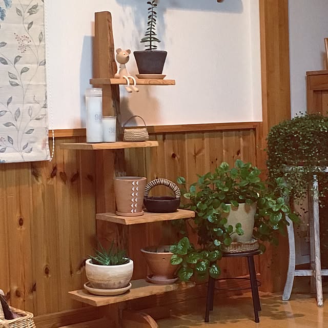 ivoryさんの実例写真