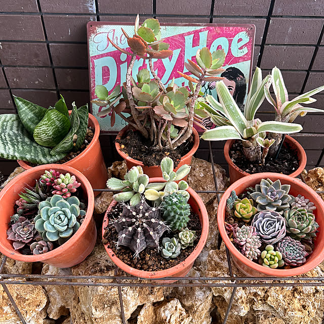 yuipyappさんの実例写真