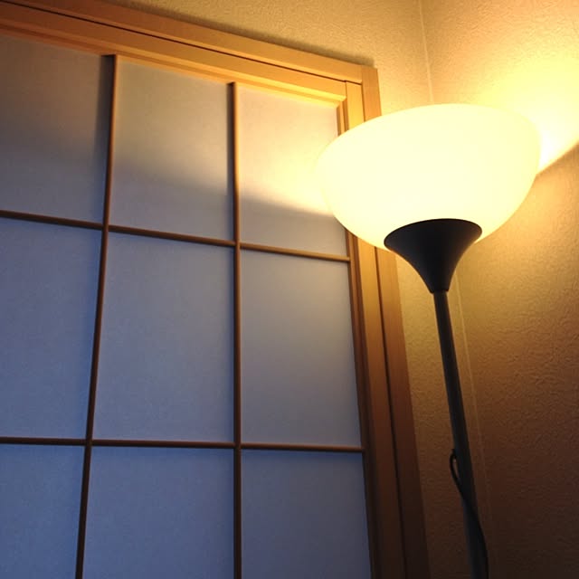 dicekbeetleさんの実例写真