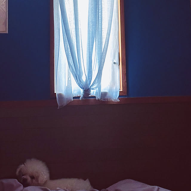 chacoさんの部屋