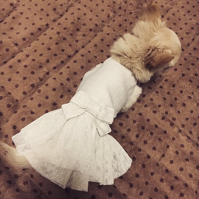 candy_Bonbonさんの実例写真