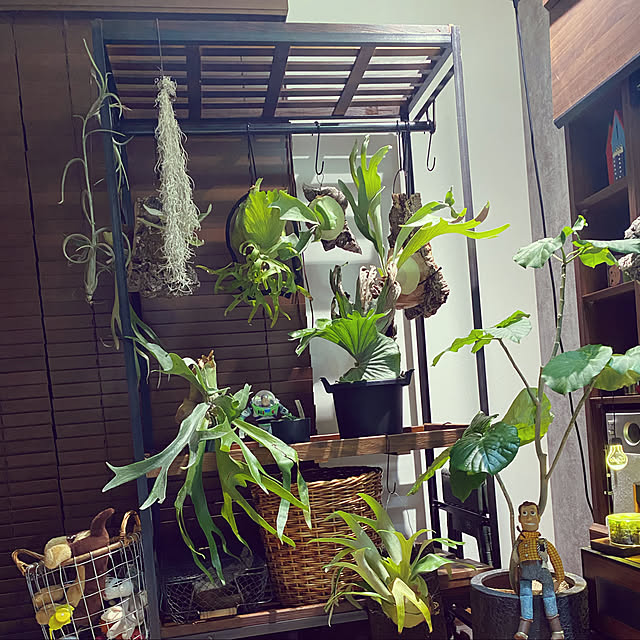 Midoriさんの実例写真