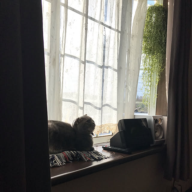 naoさんの実例写真