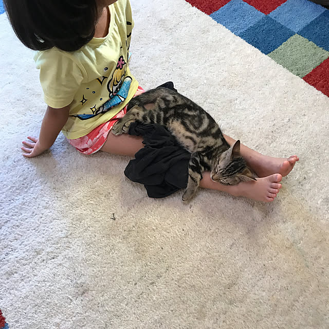 pepeさんの実例写真