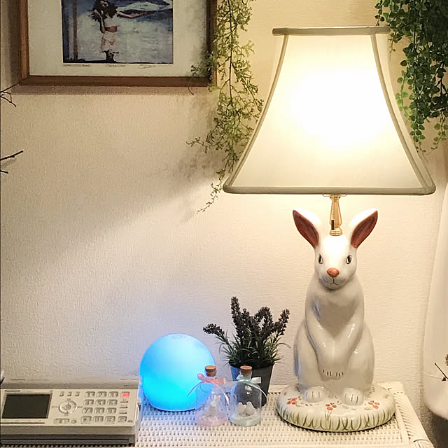 Sonokoさんの実例写真
