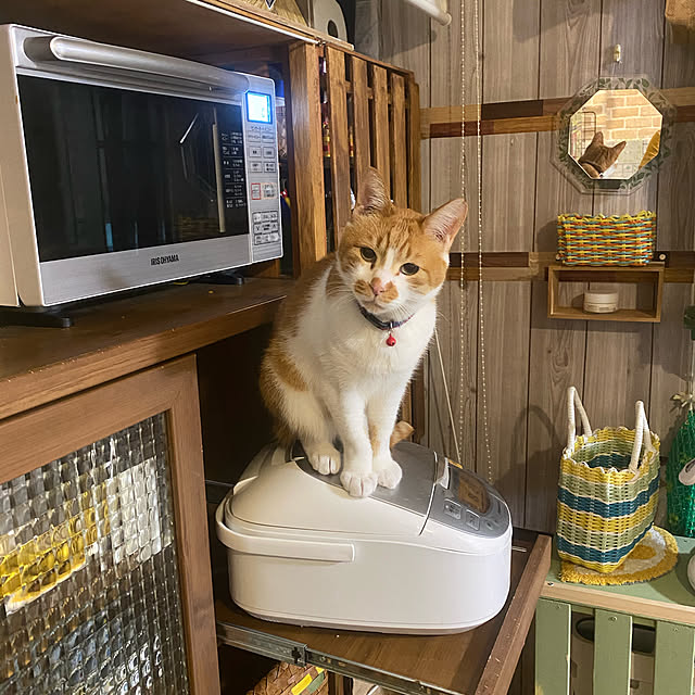 SHIHOさんの実例写真