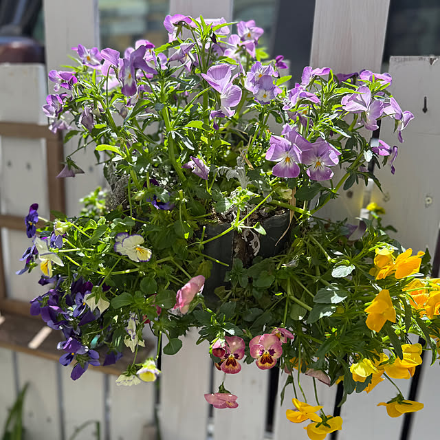 asako.10さんの部屋