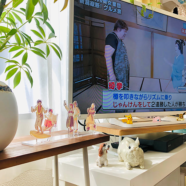 starainさんの実例写真