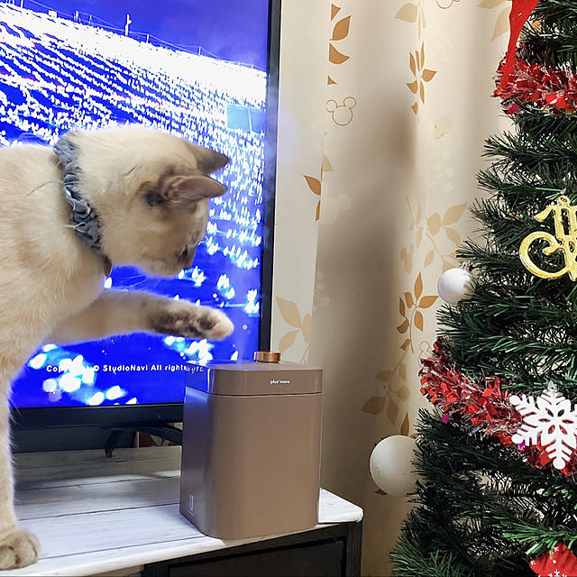 tomoyoさんの実例写真