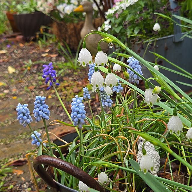 min_nimさんの部屋